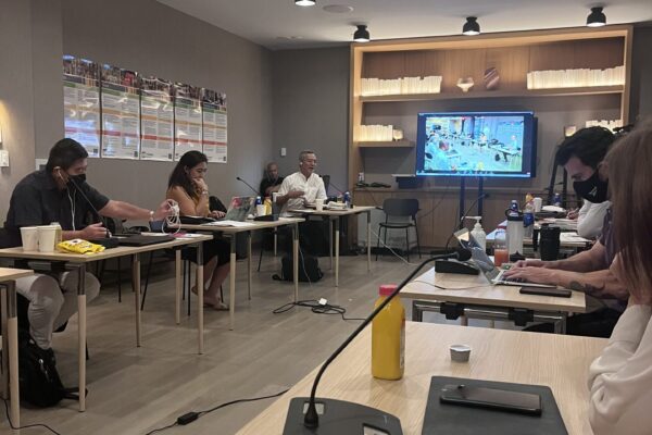 BCSDN at the CPDE Coordination Committee Meeting in New York: Strategic Review and Preparations for the HLM3