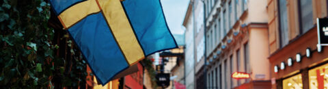 BCSDN Welcomes Swedish Presidency Council Recommendations on Fundamental Rights and Civic Space