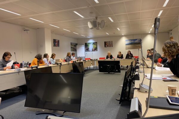 BCSDN- EU DG Near Workshop: Going Back to the Roots of Democracy and Exploring Transformative CS Power in EU Accession Process