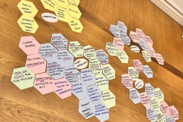 BCSDN as Part of the PxP Eastern Europe and Eurasia Regional Organizing Collective