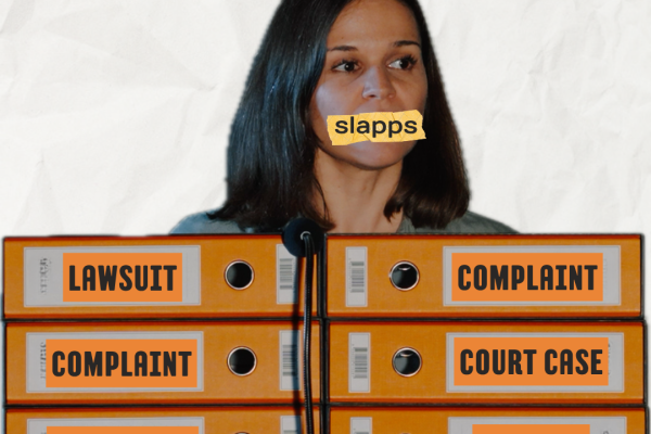 When Speaking Out Comes with a Lawsuit: BCSDN Launches Regional Campaign Against SLAPPs